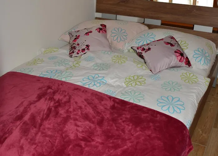 Apartmaji Kobal דירה Zoll