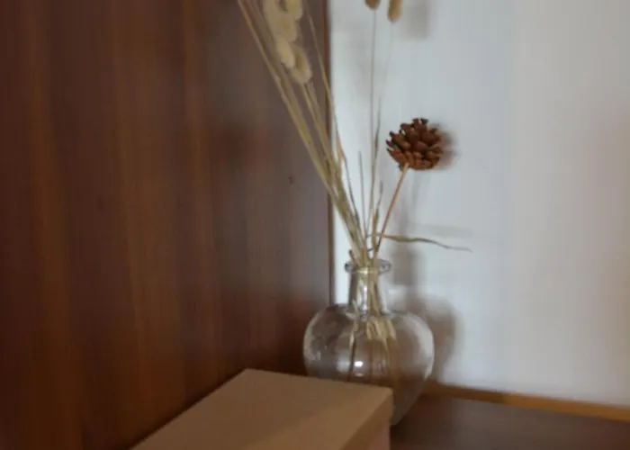 Apartmaji Kobal דירה