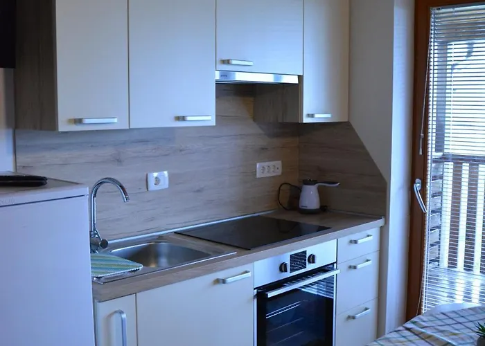 Apartmaji Kobal דירה Zoll